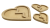 serca2-Photoroom.png