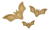 nieotoperz3-Photoroom.png