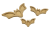 nietoperz-Photoroom.png