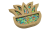 doniczka6-Photoroom.png