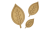 lisc1-Photoroom.png