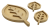 lisc2-Photoroom.png