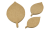 lisc4-Photoroom.png