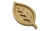 lisc6-Photoroom.png