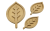 lisc-Photoroom.png