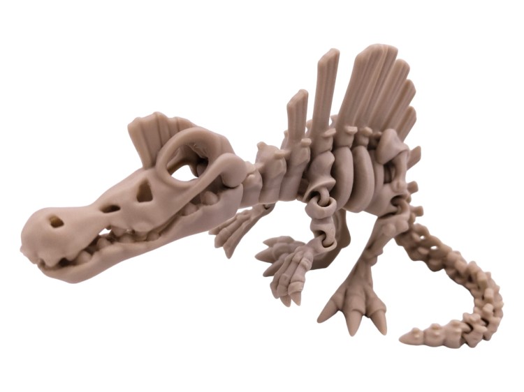 spinozaur-3d-dla-fanow-dinozaurów.jpg