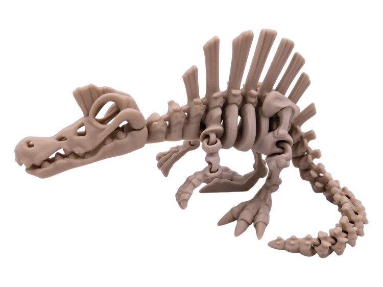 spinozaur-3d-flexi-zabawka-ruchoma.jpg