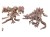 zestaw-6-ruchomych-dinozaurów-3d-flexi-figurka.jpg