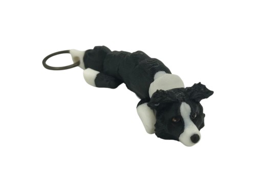 Border Collie.jpg