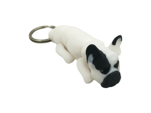 buldog francuski.jpg