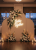 f80ff2d8b7ed4f57738e5a227fee549a.png